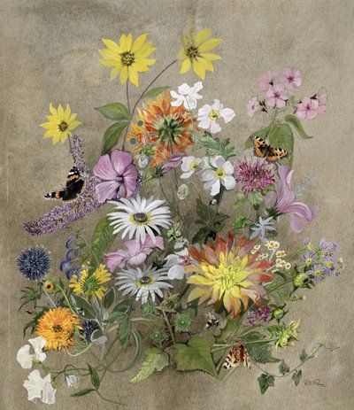 夏の花 作： John Gubbins