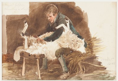 羊の毛刈り、1808（紙にトイレ） 作： John Harden