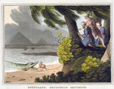 Matthew Dubourg (fl.1785-1820) によって彫刻された、Egyptins Crocodile Catching、Edward Orme 発行 作： John Heaviside (after) Clark