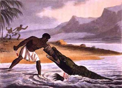 アフリカのクロコダイル・ハンター」マシュー・デュブール（fl.1785-1820）の版画、エドワード・オルム社刊 作： John Heaviside (after) Clark