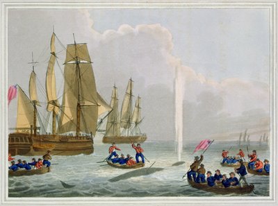 1813年にエドワードオームによって発行されたマシューデュブール（fl.1785-1820）によって刻まれたクジラに近づくボート 作： John Heaviside Clark