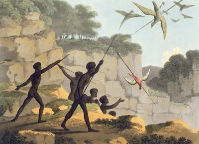槍を投げる、マシューデュブール（f.1813-1820）pubによって刻まれたニューサウスウェールズ州の先住民狩猟鳥。 1813 作： John Heaviside Clark