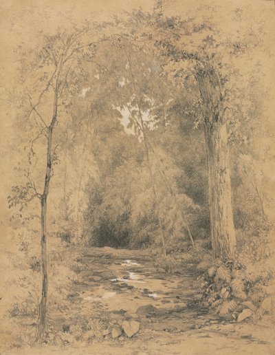 森のインテリア、c。 1870。 作： John Henry Hill