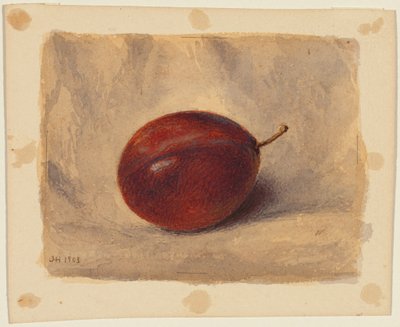 梅 作： John Henry Hill