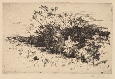 秋のエイボンデール 作： John Henry Twachtman