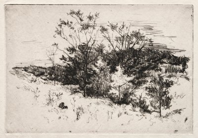 秋の風景、1879-80。 作： John Henry Twachtman
