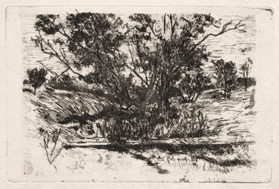 オハイオ州シンシナティの近く。 作： John Henry Twachtman