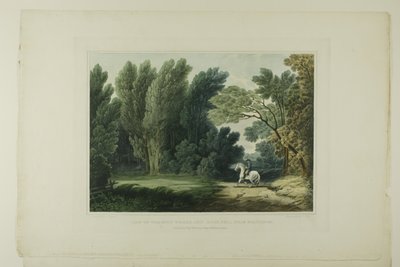 ロス将軍が倒れた場所の眺め、ボルチモア近郊、アメリカの風景の絵のように美しい景色の最初の数のプレート 6 作： John Hill
