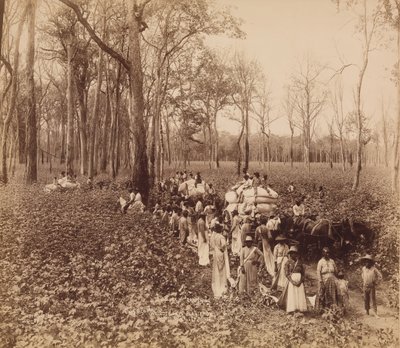 デッドニングの 12 時、カリフォルニア州。 1891年。 作： John Horgan