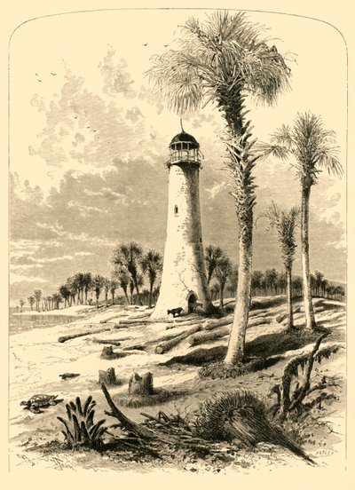 「バー灯台、セントジョンズ川の河口」、1872 年。 作： John J. Harley