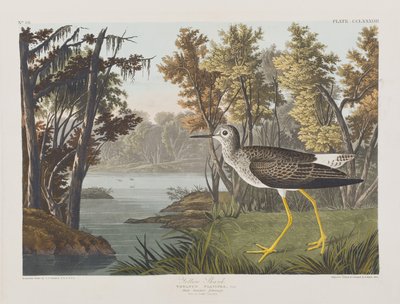 Birds of America」のイラスト 作： John James Audubon
