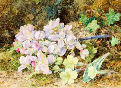 アーモンドの花とプリムローズ、1868年（カードにトイレ） 作： John Jesson Hardwick