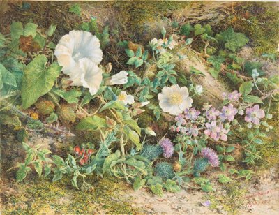 花の習作、1866年。 作： John Jessop Hardwick