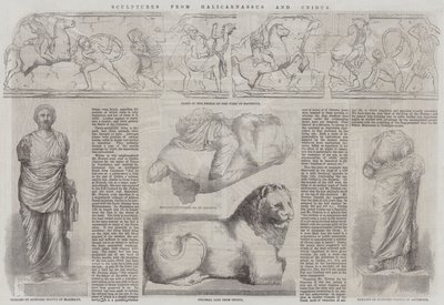 ハリカルナッソスとクニドゥスの彫刻 作： John Jessop Hardwick