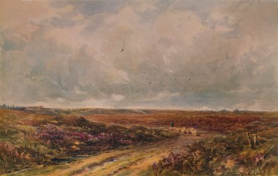 サリーコモンの嵐の日、19世紀から20世紀、1935年 作： John Jessop Hardwick