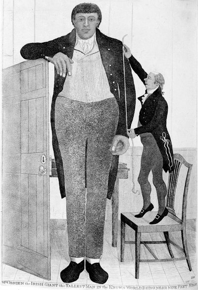 オブライエン氏、アイルランドの巨人、既知の世界で最も高い男、1803年。 作： John Kay
