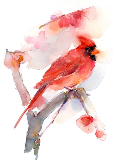 赤い枢機卿、2016、（水彩） 作： John Keeling