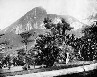 植物園とコルコバード山、リオデジャネイロ、ブラジル、1893年。 作： John L. Stoddard