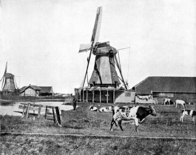 19世紀後半のオランダ、オランダの風車 作： John L. Stoddard