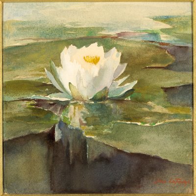 日光の中の睡蓮 作： John La Farge