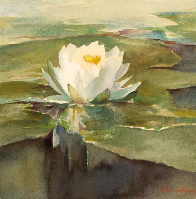 陽光の中の睡蓮」1883年頃 作： John La Farge