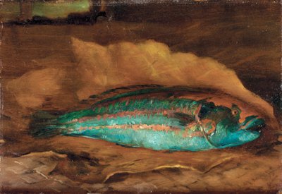 オウムの研究、サモア、1890 作： John La Farge or Lafarge