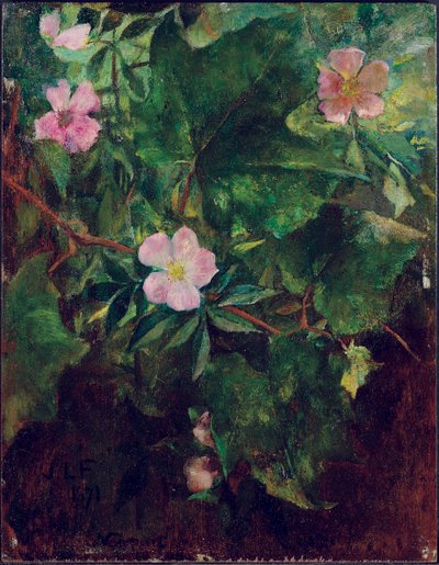 ワイルドローズアンドグレープバイン、スタディフロムネイチャー、1871 作： John La Farge or Lafarge