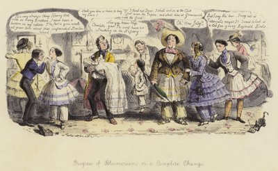 ブロメリズムの進歩、または完全な変化 作： John Leech