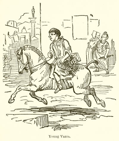 若いVarro 作： John Leech