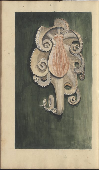 Lindsay DrawingsVol。 VII、28 作： John Lindsay