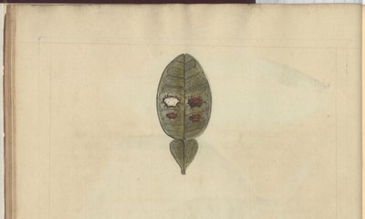リンゼイのドローイング Vol.VII, 3 作： John Lindsay