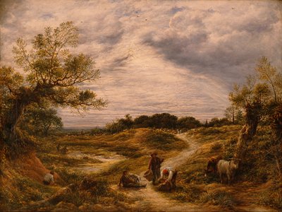 ハムステッド・ヒース 1855-56年頃 油彩・カンヴァス 作： John Linnell
