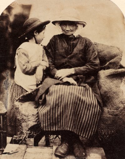 北ウェールズ、コーウェン、ラガットの使用人、c。 1860年。 作： John Lloyd