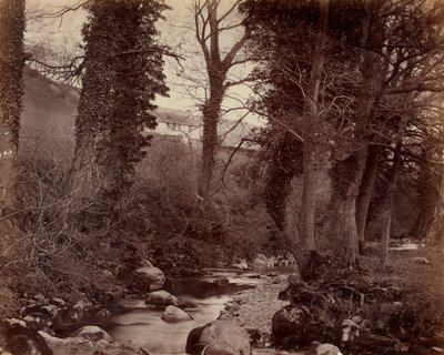 無題、1859年頃 作： John Lloyd