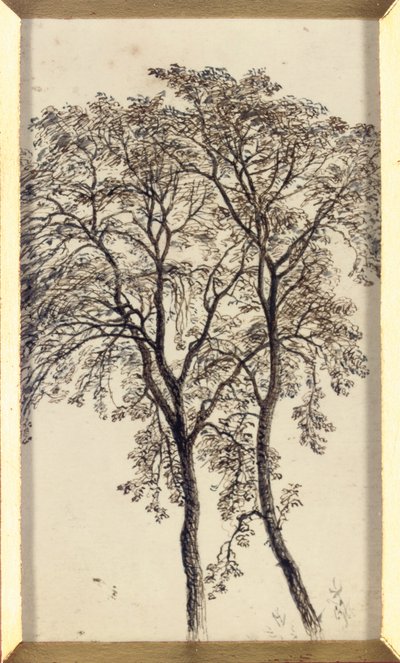 木の研究 作： John MacWhirter