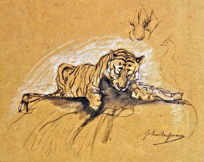 食べているタイグレス、1875年頃（紙に木炭・カラーチョーク） 作： John Macallan Swan