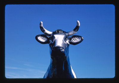 牛のおしゃべりベル像の詳細、チーズ・ギフト・ショップ、ニールズビル、ウィスコンシン州、アメリカ 作： ジョン・マーゴリーズ