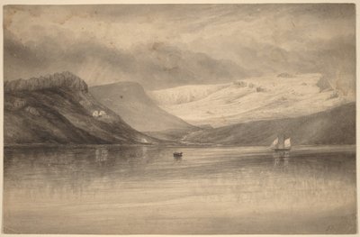 アメリカ観測所、ケルケレン諸島 作： John Moran