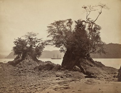 リモン湾の島々、1871 年。 作： John Moran