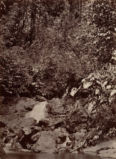 熱帯の風景、カスケード、リモン川、1871 年。 作： John Moran