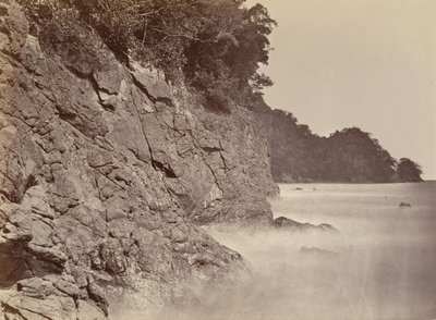 熱帯の風景、崖-リモン湾、1871年。 作： John Moran