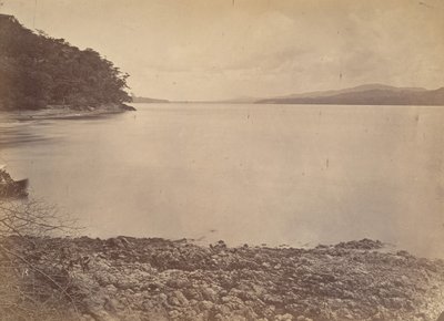 熱帯の風景、ダリエン港-南を向いて、1871年。 作： John Moran