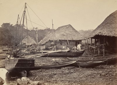 熱帯の風景、上陸、チピガナ、1871年。 作： John Moran