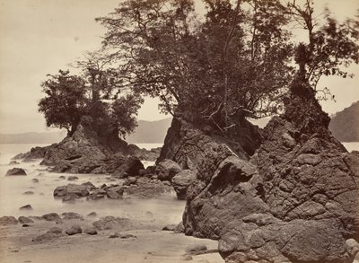 熱帯の風景、リモン湾 - 干潮、1871 年。 作： John Moran