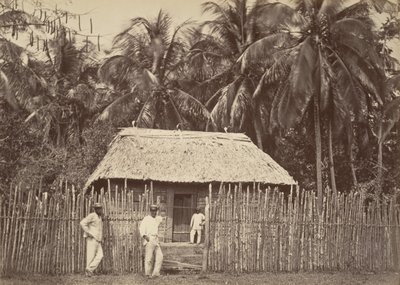 熱帯の風景、先住民の小屋、ターボ、1871年。 作： John Moran