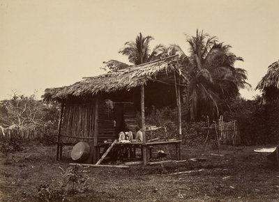 熱帯の風景、ネイティブ ハット、ターボ、1871 年。 作： John Moran