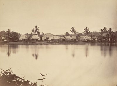 熱帯の風景、サンタ・マリア・デル・レアル、ダリエン、1871年 作： John Moran