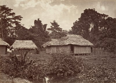 熱帯の風景、ターボ ビレッジ、1871 年。 作： John Moran