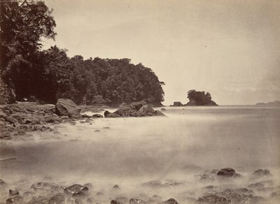 熱帯の風景、リモン湾の眺め、1871 年。 作： John Moran