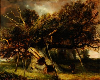 The Cowthorpe Oak 作： John Nicholas Rhodes